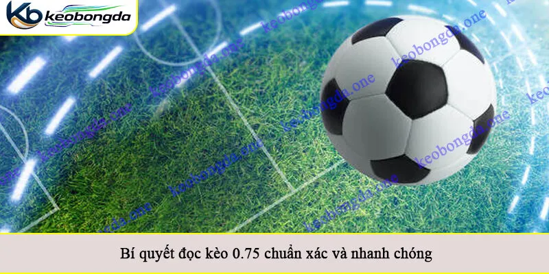 Bí quyết đọc kèo 0.75 chuẩn xác và nhanh chóng
