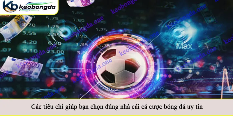 Các tiêu chí giúp bạn chọn đúng nhà cái cá cược bóng đá uy tín