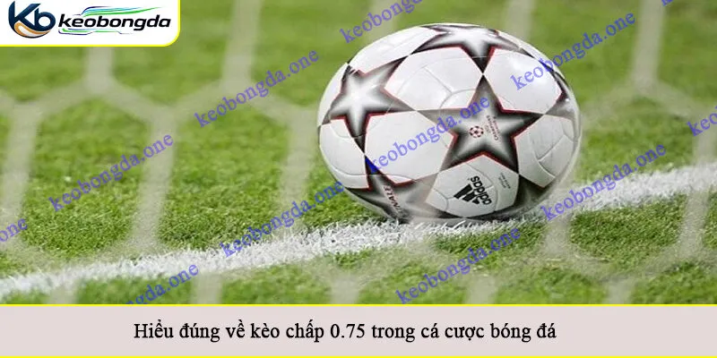 Hiểu đúng về kèo chấp 0.75 trong cá cược bóng đá
