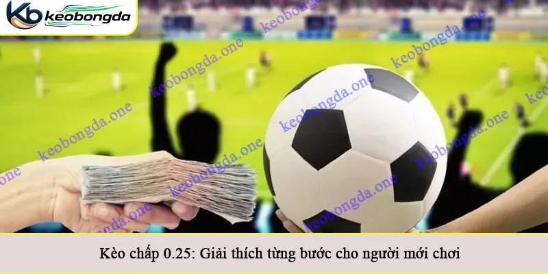Kèo chấp 0.25: Giải thích từng bước cho người mới chơi