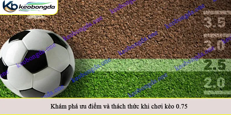Khám phá ưu điểm và thách thức khi chơi kèo 0.75