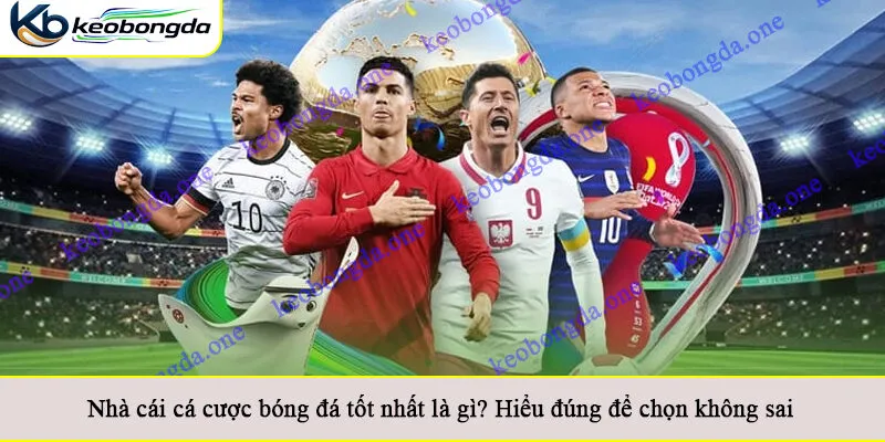 Nhà cái cá cược bóng đá tốt nhất là gì? Hiểu đúng để chọn không sai