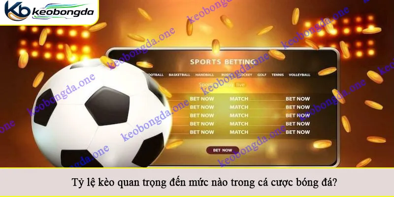 Tỷ lệ kèo quan trọng đến mức nào trong cá cược bóng đá?