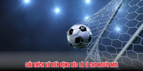 Biến động kèo là như thế nào?