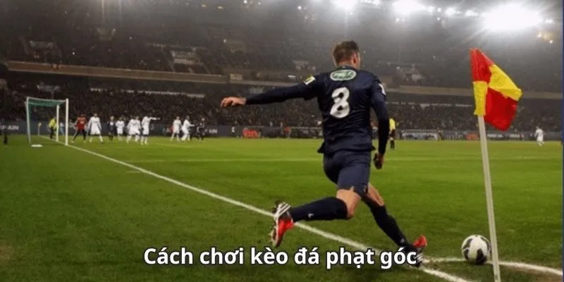 Chia sẻ những cách soi kèo phạt góc chất lượng số 1