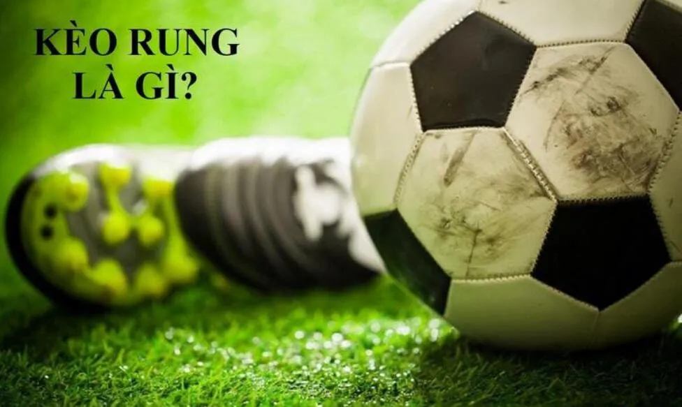 Chia sẻ kinh nghiệm đánh kèo rung cho mọi tân binh