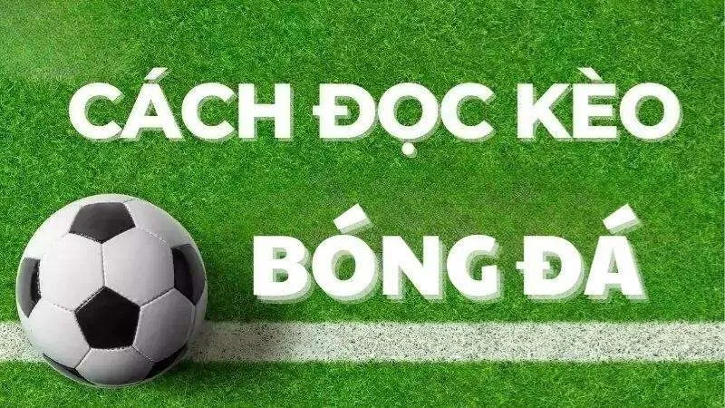 Cách đọc kèo Châu Âu trong bóng đá 