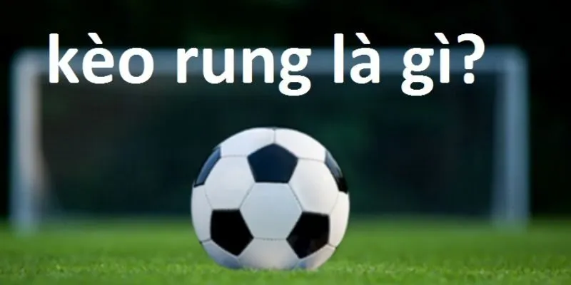 Tìm hiểu đánh rung là gì?