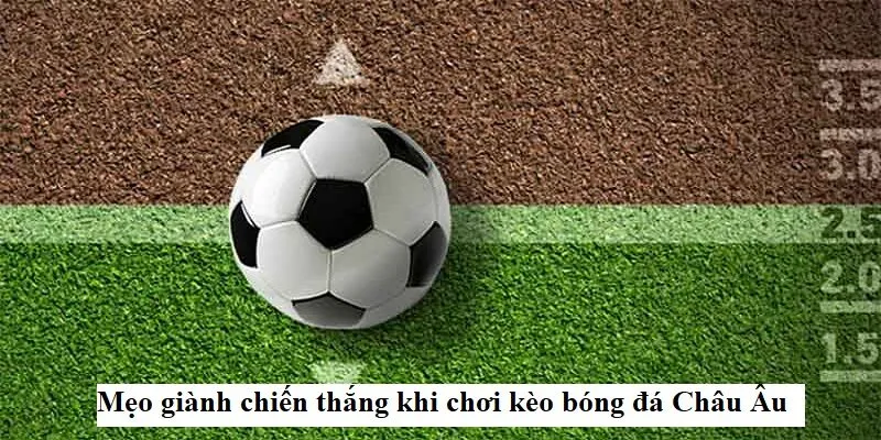 Tại sao cược thủ chuyên nghiệp vẫn yêu thích sảnh cược 1X2