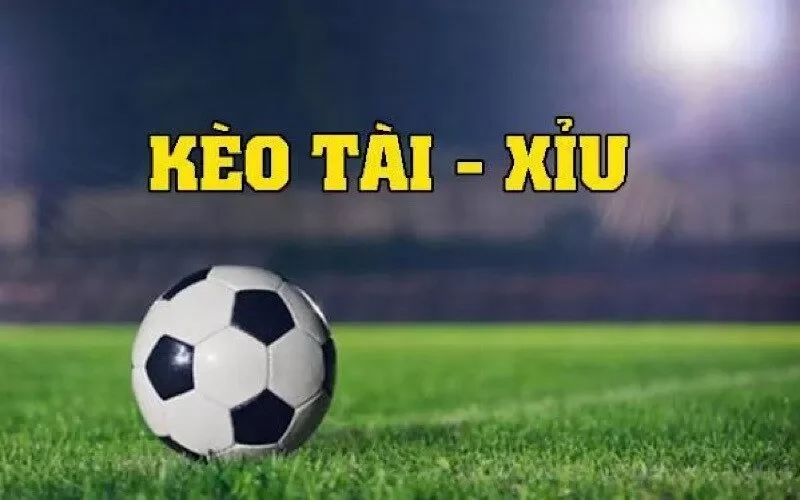 Kèo tài xỉu 1,5 là gì? Hướng dẫn cách đọc kèo cho người mới